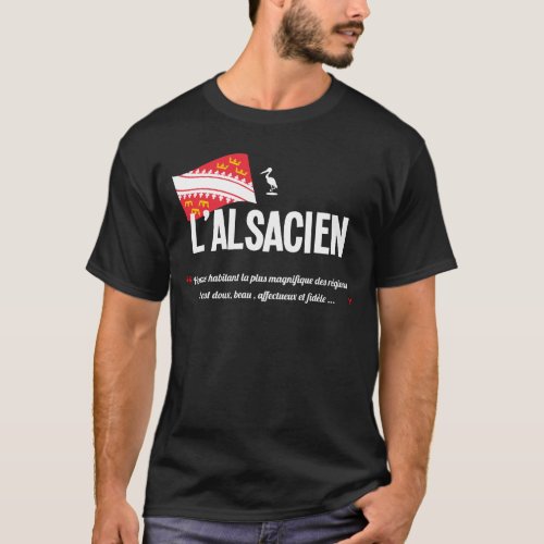 Alsace  Alsace  Flag T_Shirt