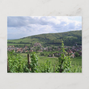 Alsace vineyards postcard