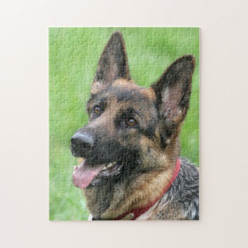 Alsatian Dog Jigsaw Puzzle