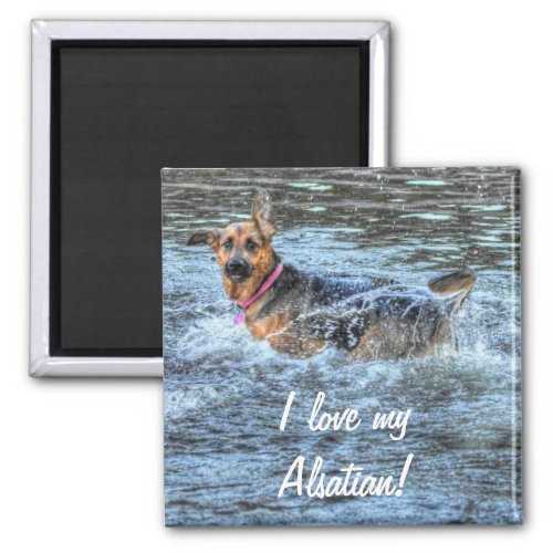 Alsatian German Shepherd 2 Dog_lover Gift Magnet