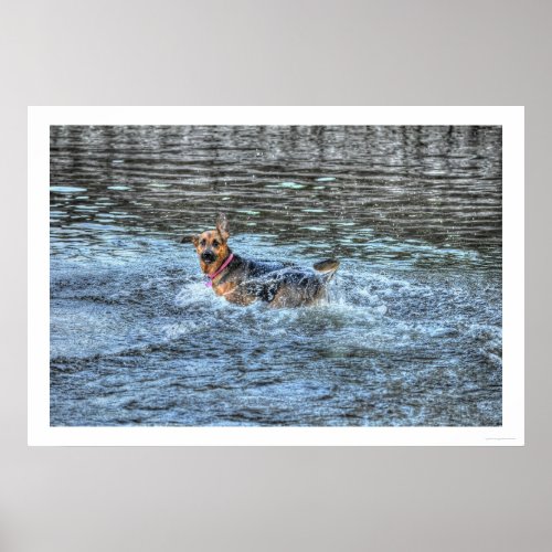 Alsatian German Shepherd 2 Dog_lover Poster