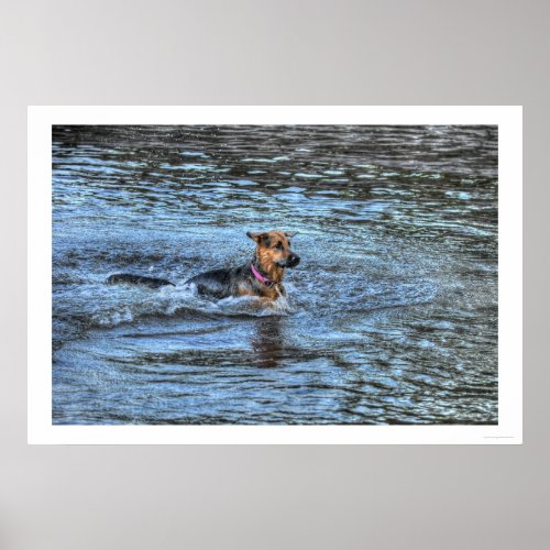 Alsatian German Shepherd 3 Dog_lover Poster