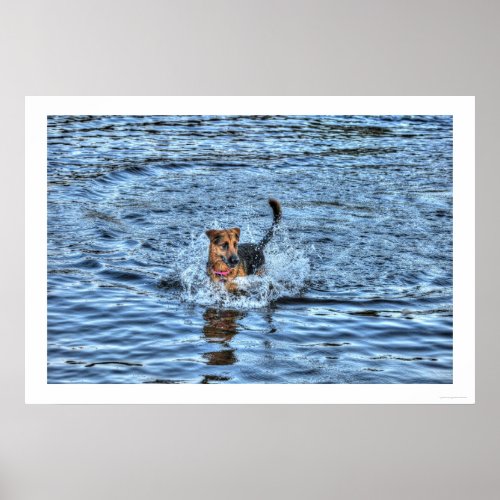 Alsatian German Shepherd 4 Dog_lover Poster