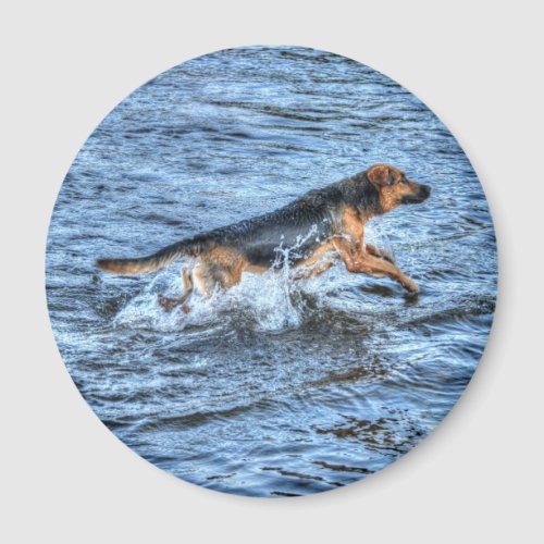 Alsatian German Shepherd 5 Dog_lover Gift Magnet