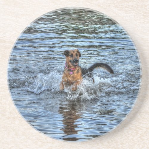Alsatian German Shepherd Dog_lover Gift Coaster