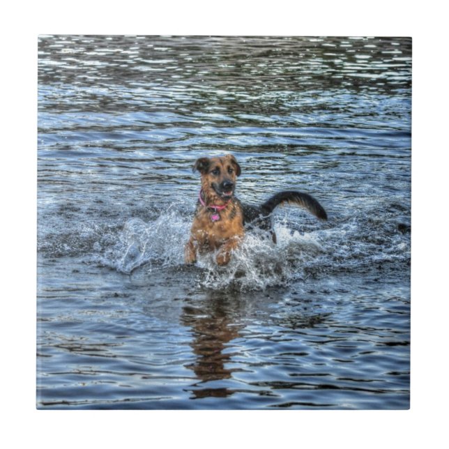 Alsatian German Shepherd Dog-lover Gift Tile (Front)