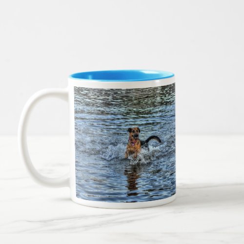 Alsatian German Shepherd Dog_lover Gift Two_Tone Coffee Mug