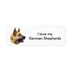 Alsatian German shepherd dog portrait Label