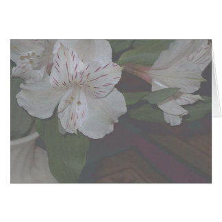 Alstroemeria Flowers Cards