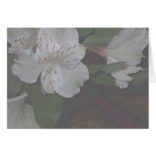 Alstroemeria Flowers Cards (Front Horizontal)