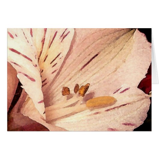 Alstroemeria in bloom cards (Front Horizontal)