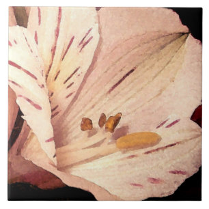 Alstroemeria in bloom ceramic tile