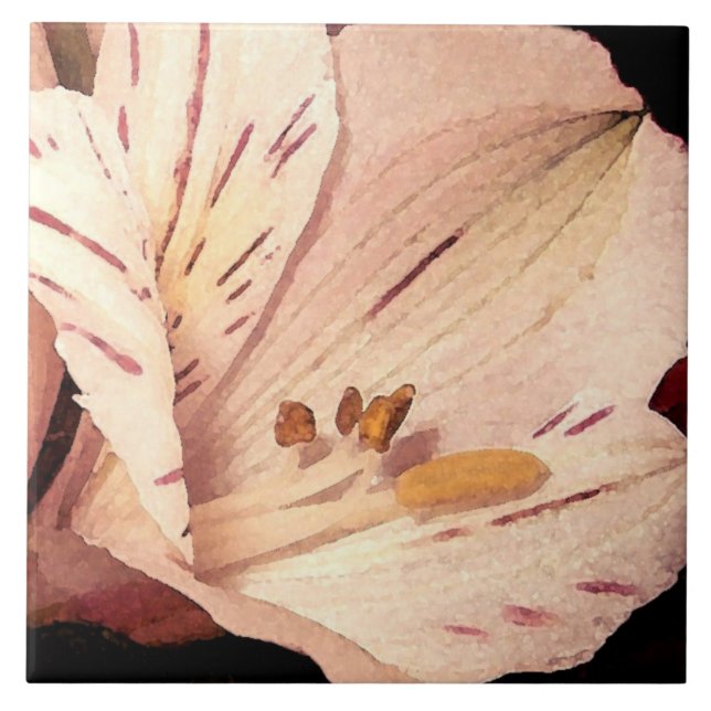 Alstroemeria in bloom ceramic tile (Front)