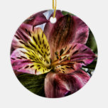 Alstroemeria Peruvian Lily Flower Custom Ornament at Zazzle