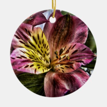 Alstroemeria Peruvian Lily Flower Custom Ornament by bigspl at Zazzle