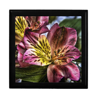 Alstroemeria Peruvian Lily flower wooden gift box