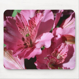 Alstroemeria Pink Flower Mouse Pad