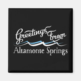 Altamonte Springs Water Waves Magnet