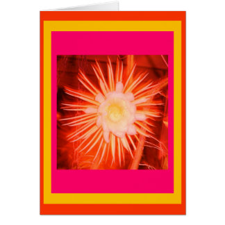 Altered Peach Cactus Flower Cards