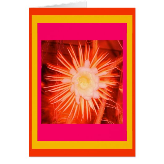 Altered Peach Cactus Flower Cards (Front)
