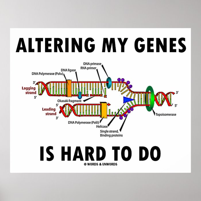 Altering My Genes Is Hard To Do (DNA Replication) Print
