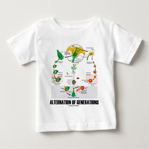 Alternation Of Generations Flower Life Cycle Baby T_Shirt