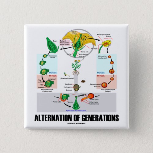 Alternation Of Generations Flower Life Cycle Pinback Button