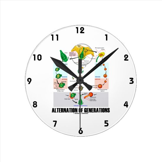 Alternation Of Generations (Flower Life Cycle) Round Clock
