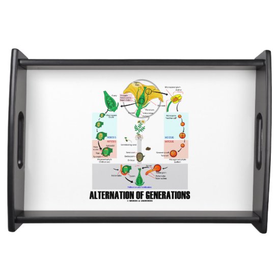 Alternation Of Generations Flower Life Cycle Serving Tray