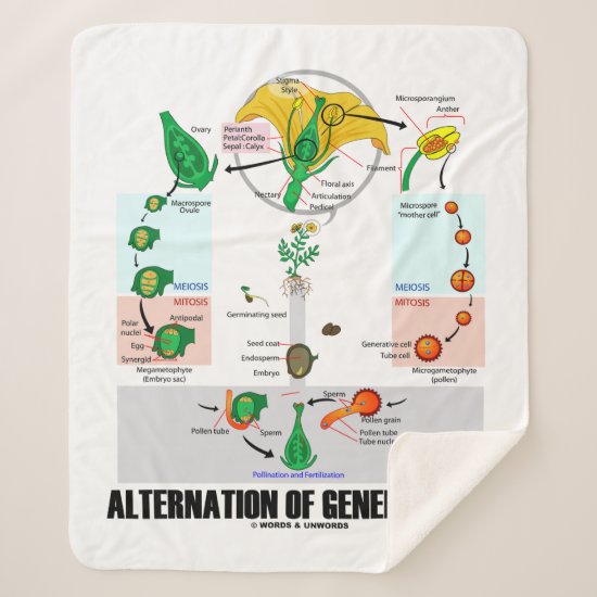 Alternation Of Generations Flower Life Cycle Sherpa Blanket