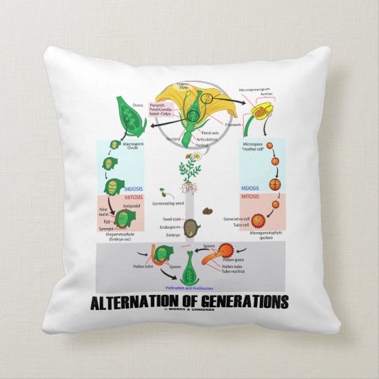 Alternation Of Generations (Flower Life Cycle) Throw Pillow