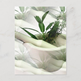 Alternative Medicine Postcard