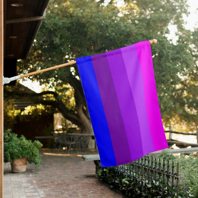 Alternative Transgender Pride Flag (In SItu)