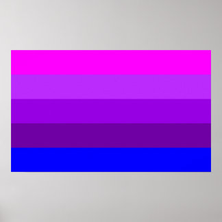 Alternative Transgender Pride Flag Poster