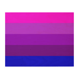 Alternative Transgender Pride Flag Wood Wall Art