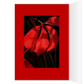 Alterra Vines (Inside (Left))