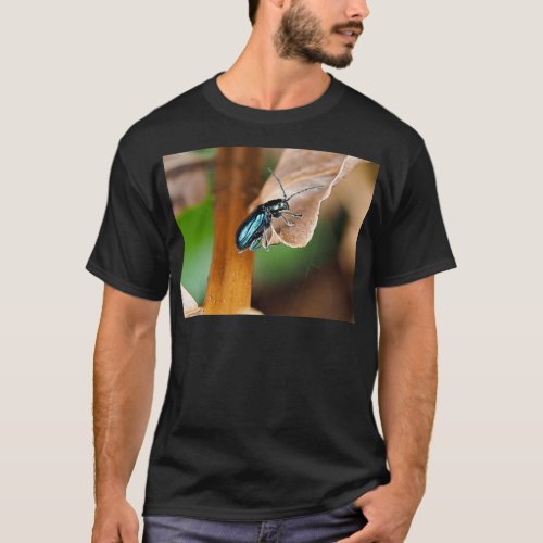 Altica sp beetle on a dried plant T_Shirt