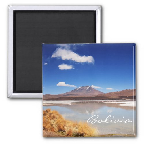 Altiplano landscape with volcano in Bolivia Magnet