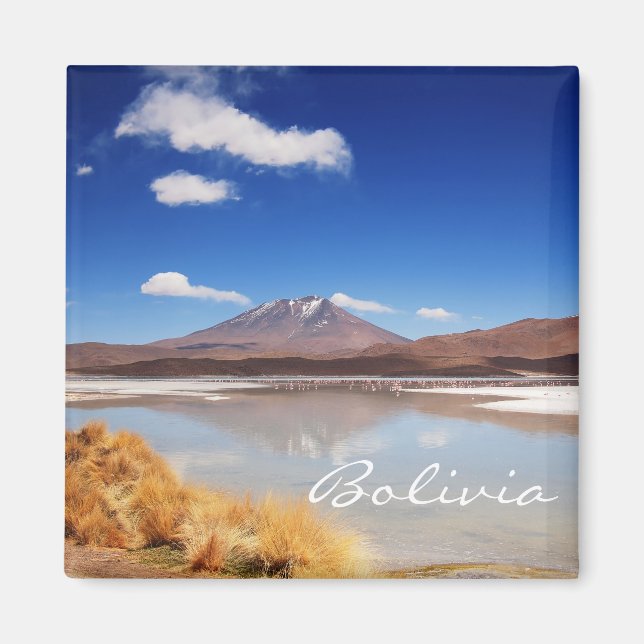 Altiplano landscape with volcano in Bolivia Magnet (Front)