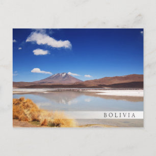 Altiplano landscape with volcano in Bolivia Postcard