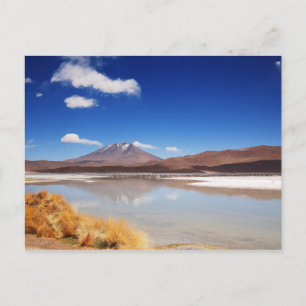 Altiplano landscape with volcano in Bolivia Postcard