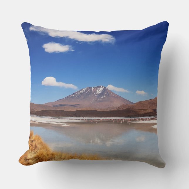 Altiplano landscape with volcano in Bolivia Throw Pillow (Front)