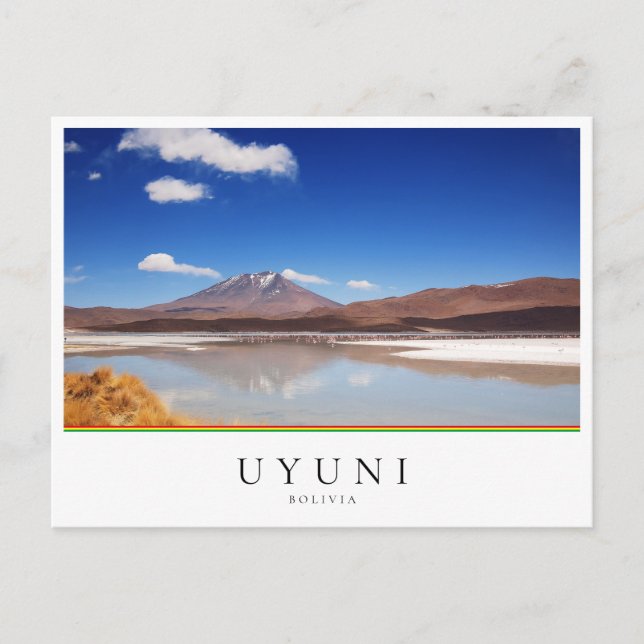 Altiplano landscape with volcano in Uyuni, Bolivia Postcard (Front)