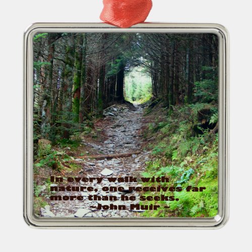 Alum Cave Trail Every walk wnature John Muir Metal Ornament