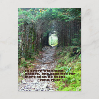 Alum Cave Trail: Every walk w/nature… John Muir Postcard