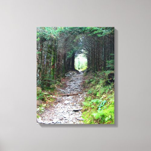 Alum Cave Trail on Mt LeConte Canvas Print