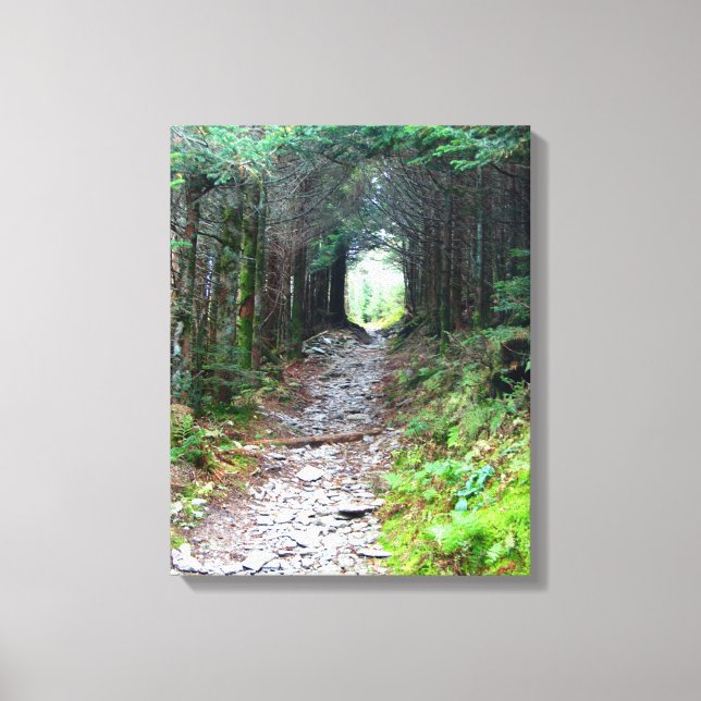 Alum Cave Trail on Mt. LeConte Canvas Print (Front)