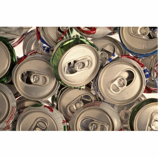 Aluminum cans, recycled statuette (Front)