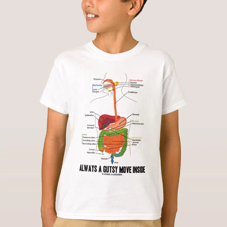 Digestive system t shirt Clearance