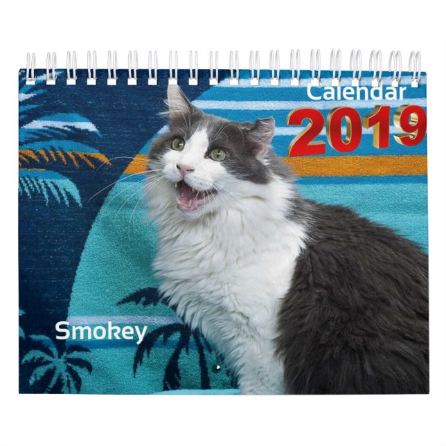 Always and Forever Collectible Calendar 2019 (Cover)